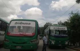 Varios buses parqueados sobre la prolongación de Murillo. 