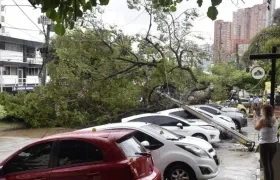 Foto de los vehículos afectados por un poste y un árbol en el barrio El Prado.