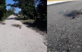 Enfrentamientos en diferentes zonas de Arauca.