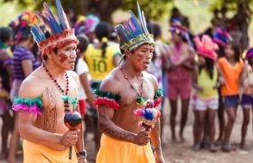 Pueblos Indígenas de la Amazonía. 