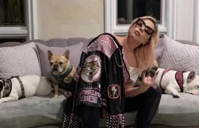 Lady Gaga con sus perros.