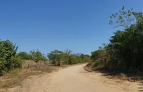 Foto para ilustrar correspondiente a una vía en Sabanalarga.