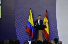 Rey Felipe VI de España.