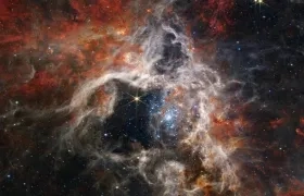 La nebulosa de Tarántula, una "guardería" de estrellas 