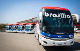 Buses de Expreso Brasilia.