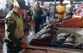 Operativos de la Policía en la comercialización de pescado