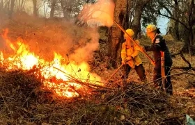 Imagen de referencia de incendios forestales