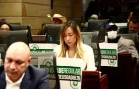 El proyecto que despenaliza la comercialización y uso del cannabis recreativo en Colombia fue aprobado este martes en sexto debate en la Cámara de Representantes
