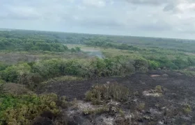 Los estragos del incendio en el parque Isla Salamanca