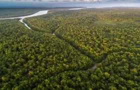 Región del Amazonas. 