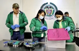 Ranas incautadas por la Policía. 