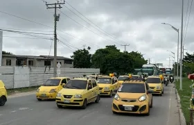 Avenida Circunvalar a la altura de Las Gaviotas hay 'Plan tortuga'