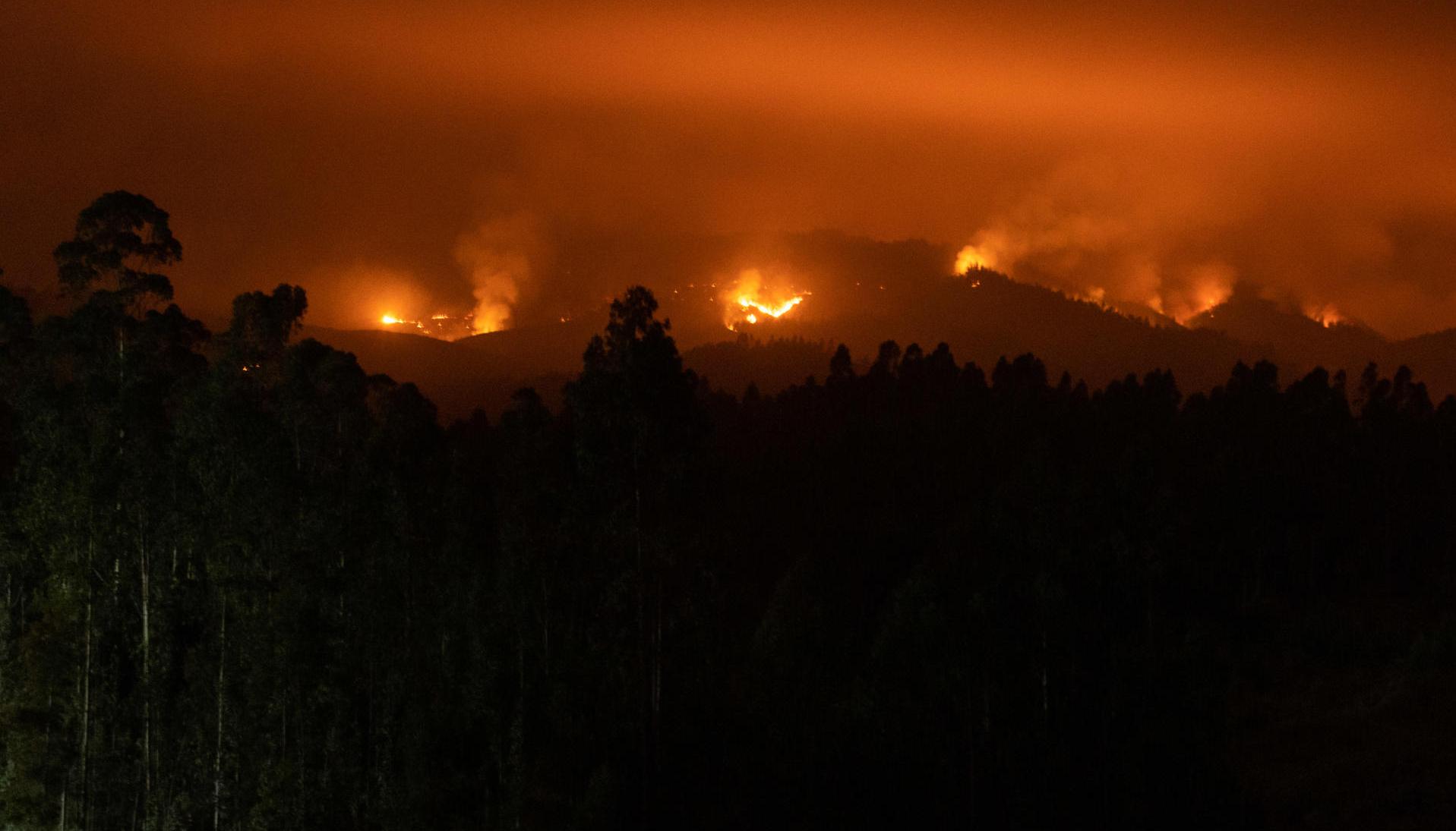 Las autoridades reportan 260 incendios activos en todo Chile.