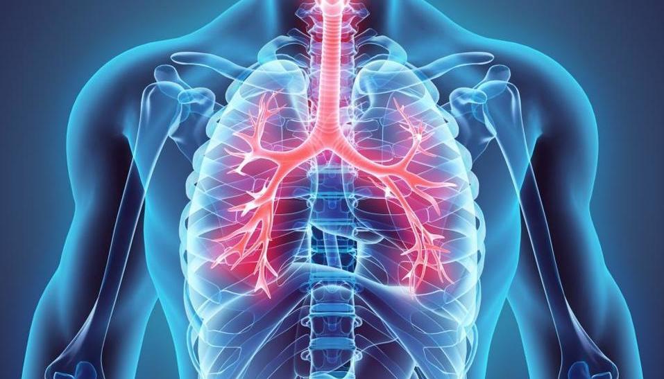El nuevo mapa servirá para avanzar en la comprensión de las enfermedades pulmonares.