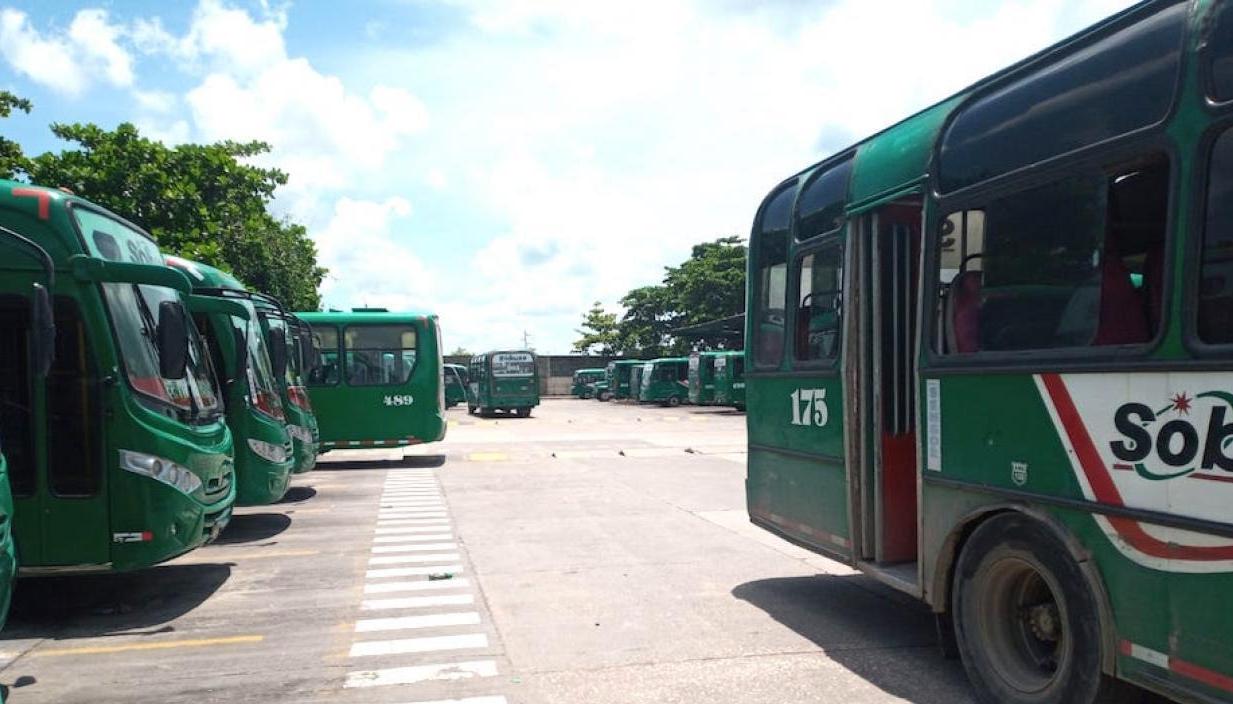 Buses urbanos en Barranquilla. 