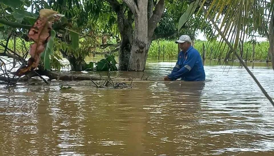 Extensas tierras de San Benito Abad permanecen bajo el agua por la ruptura de 'Caregato'
