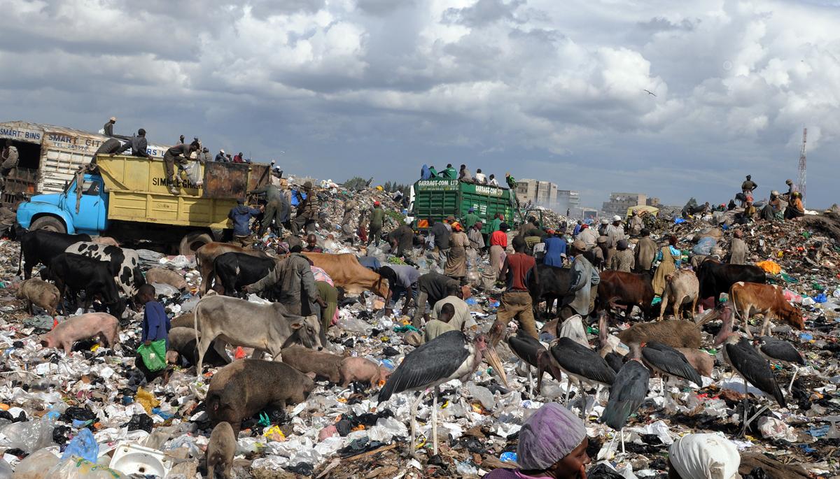 Vertedero de basura. 