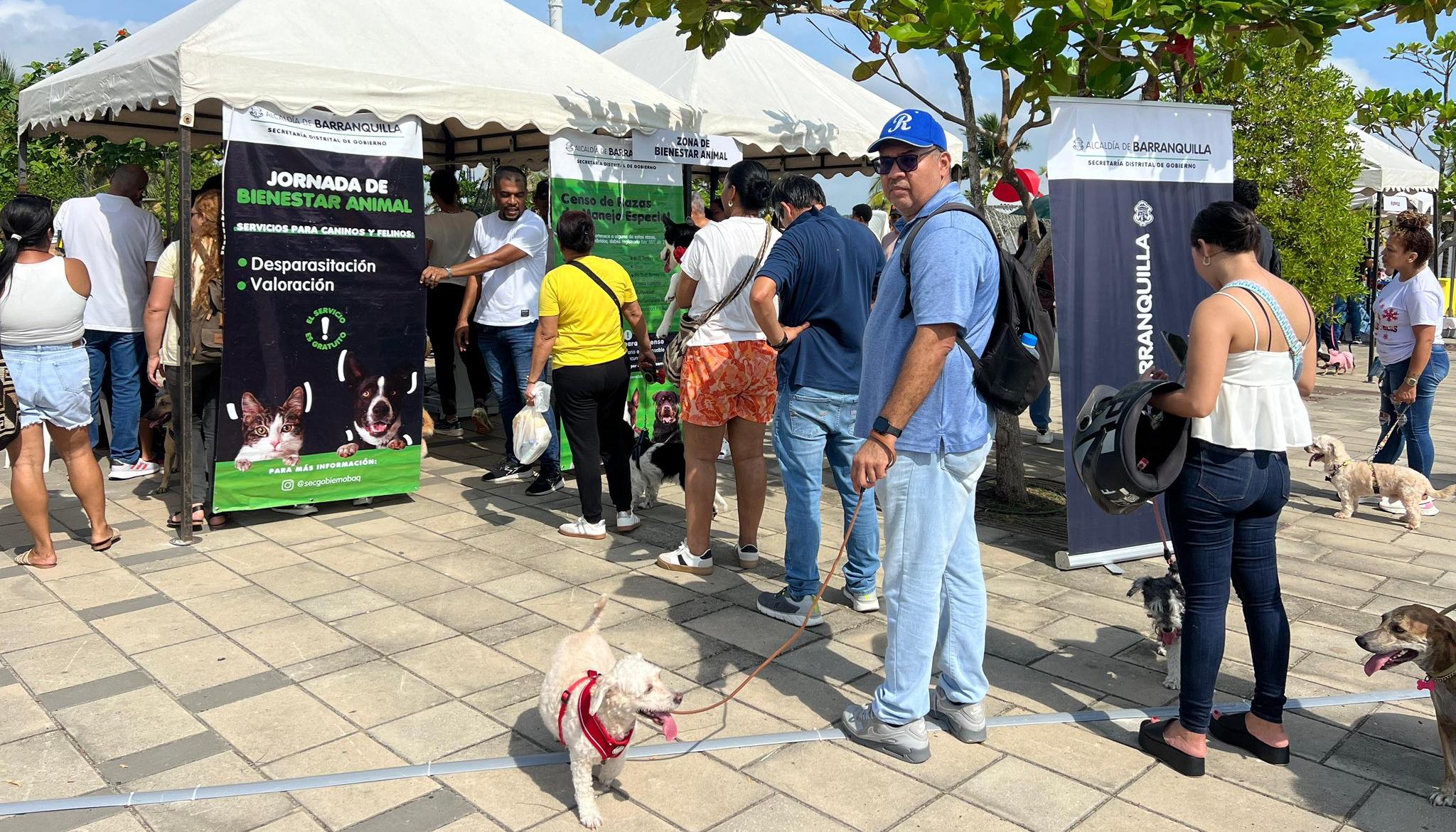 Jornadas de bienestar animal en Barranquilla.