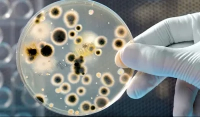Las bacterias han adquirido capacidades para vencer a los antibióticos.