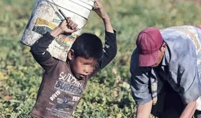 Hay unos 152 millones de niños en el mundo sometidos a explotación laboral.
