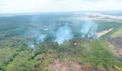 El incendio forestal deja graves daños ambientales.
