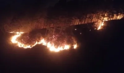 Aspecto del incendio forestal en cerro de Bello.