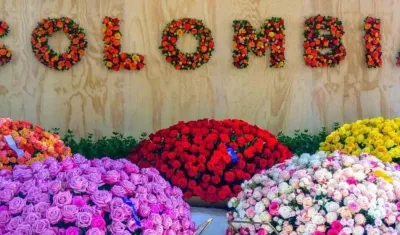 Las flores colombianas más apetecidas en los mercados internacionales son las rosas, claveles, pompones, entre otras.
