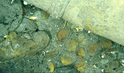 Hallazgos encontrados durante la búsqueda de los restos del galeón San José 