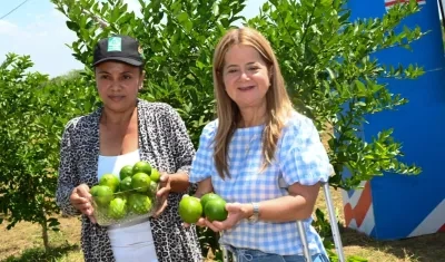 La gobernadora Elsa Noguera con una cosecha de limón tahití en Repelón. 