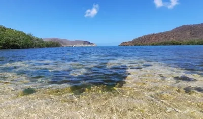 Playa protegida del Parque Tayrona donde se halló la coexistencia entre manglares y corales. 
