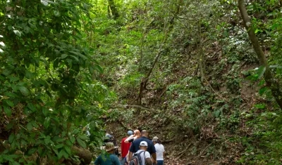 En la región Caribe han sido priorizadas 880.000 hectáreas de conservación