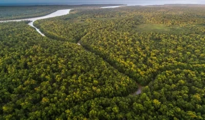 Región del Amazonas. 