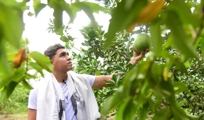 Jhon Escobar en su ‘Huerta autosostenible adaptada al trópico Caribe’.