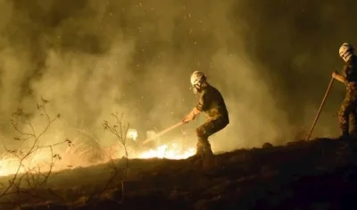Bomberos atienden un incendio forestal