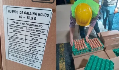 La primera exportación de huevos a Cuba salió ayer lunes.